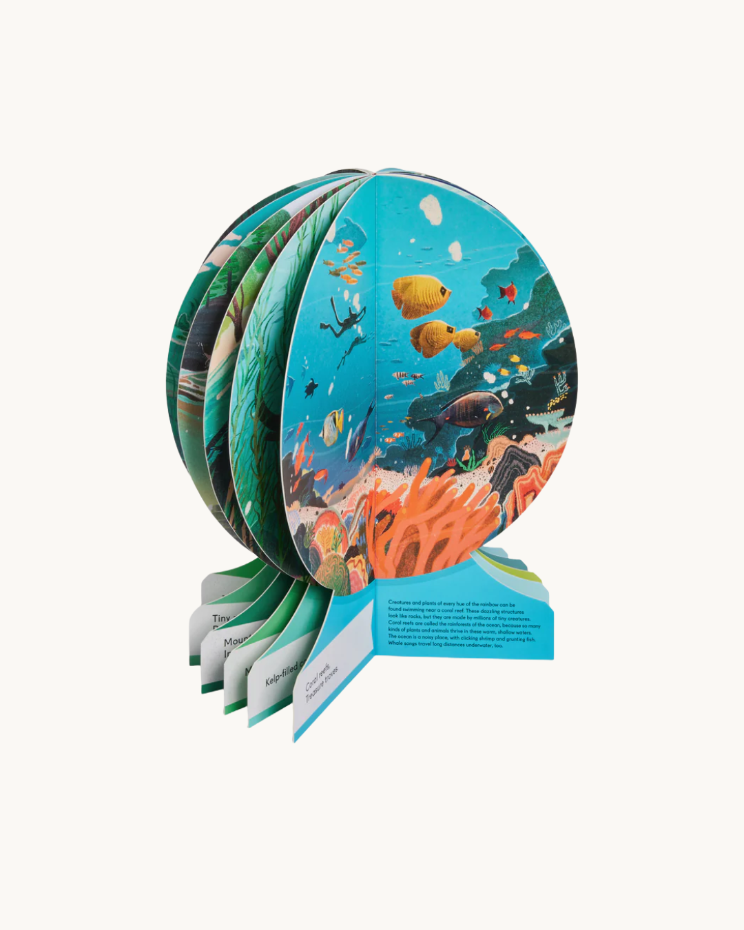 Our Underwater World: A First Dive into Oceans, Lakes, and Rivers