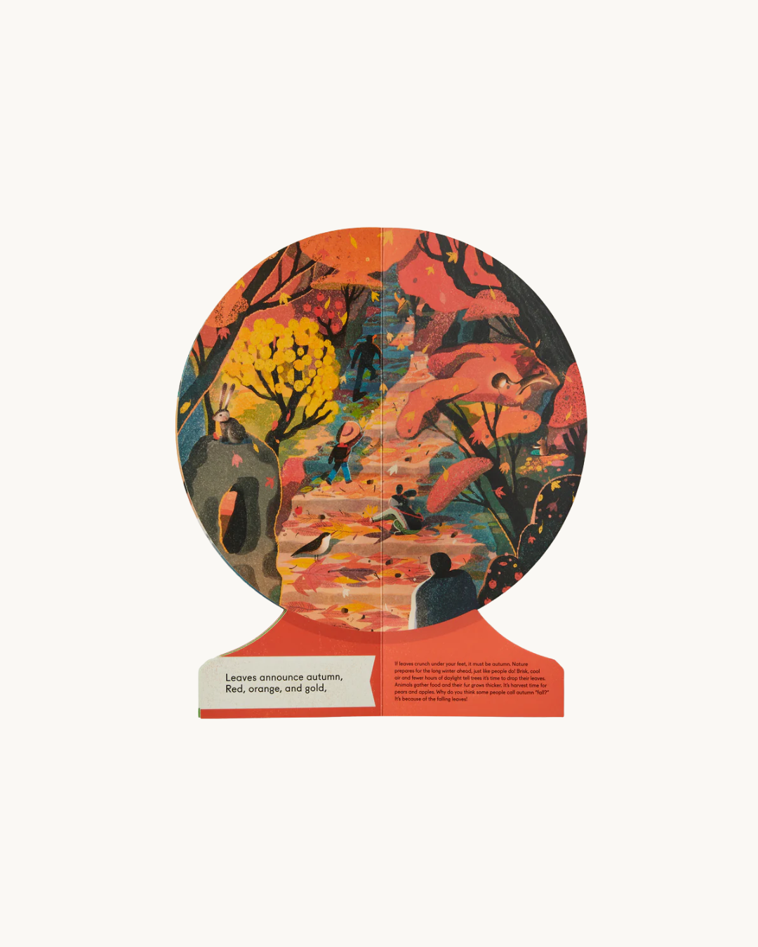 Our Seasons: The World in Winter, Spring, Summer, and Autumn