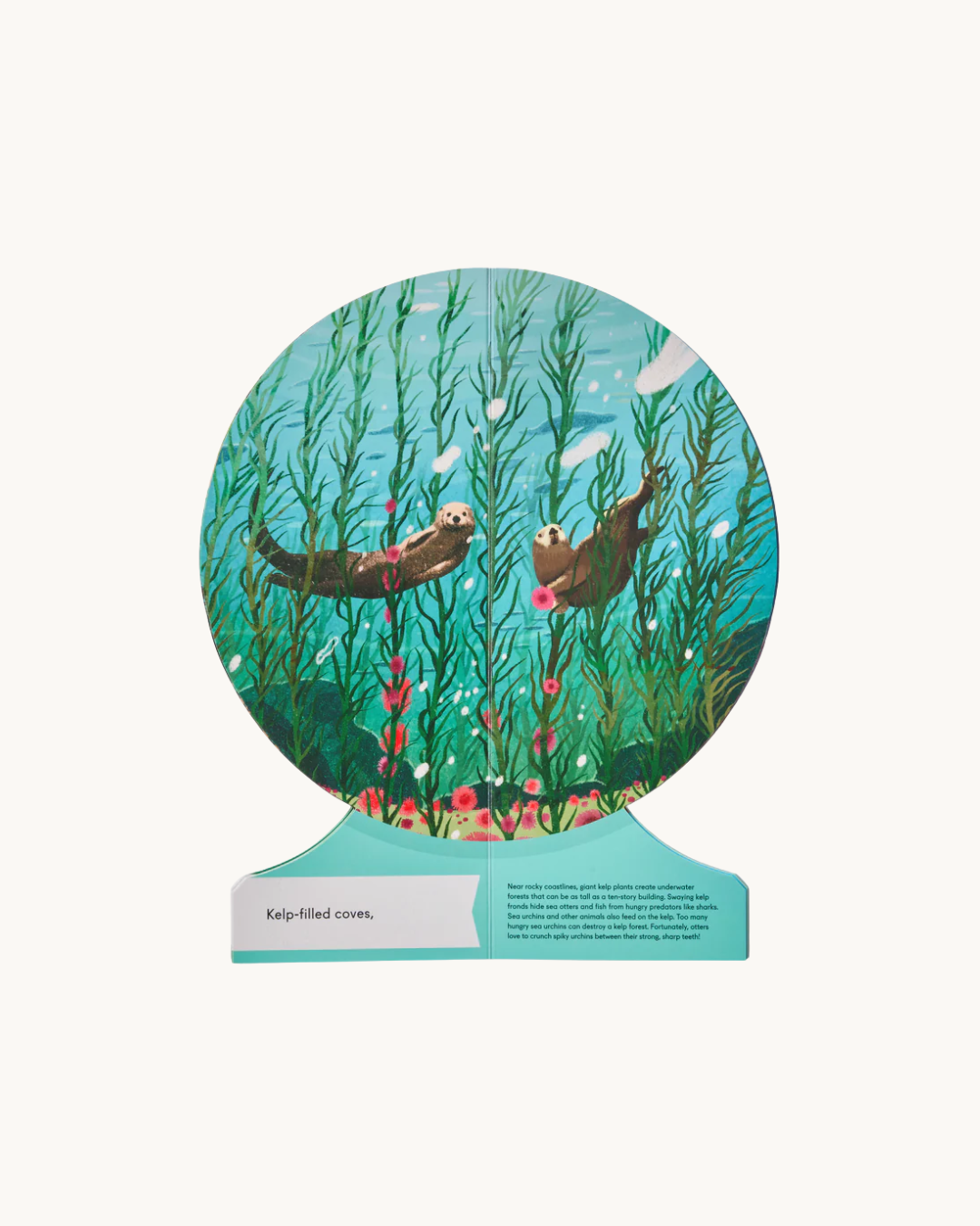 Our Underwater World: A First Dive into Oceans, Lakes, and Rivers